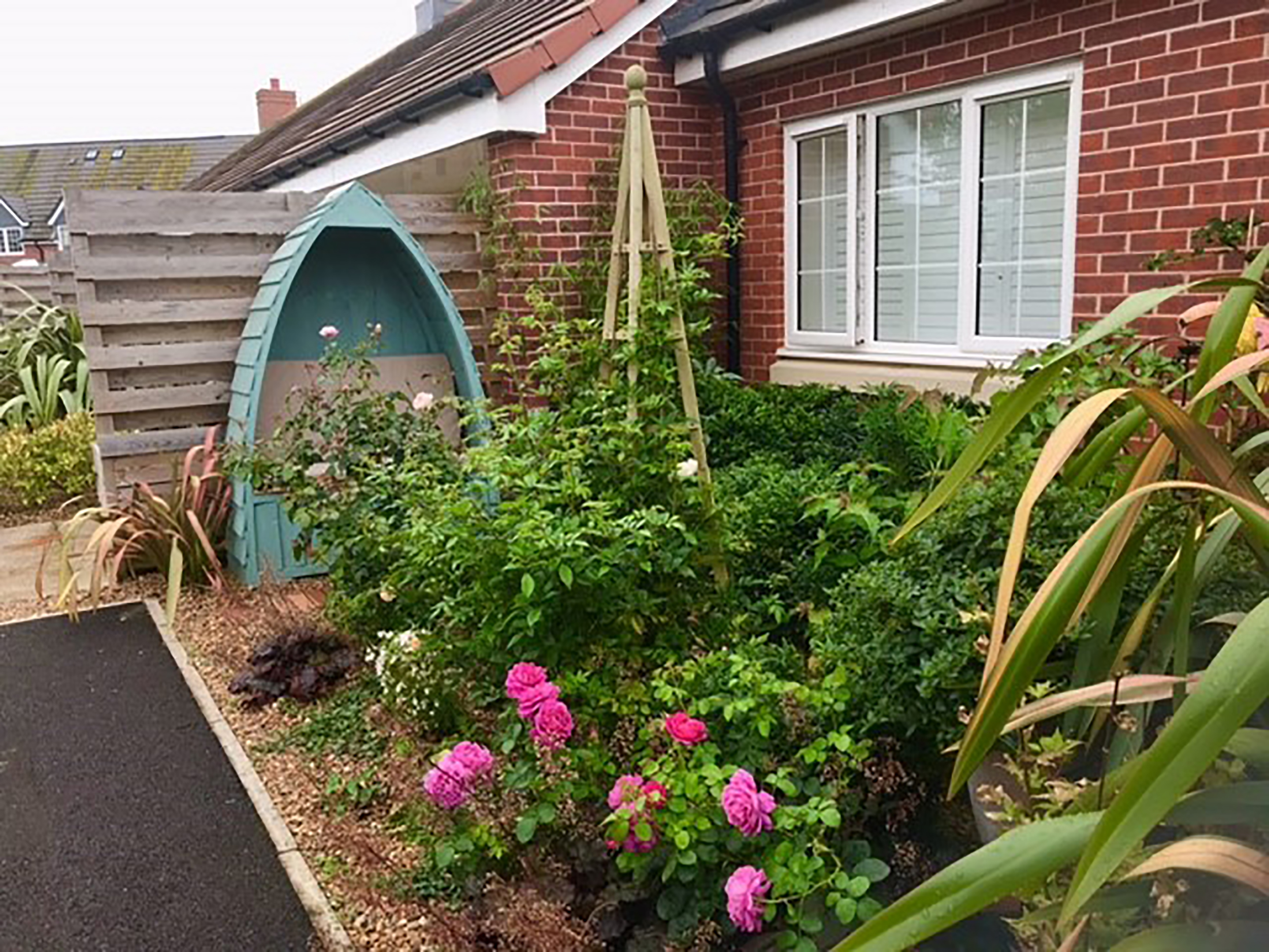 Pink flowers and greenery in garden