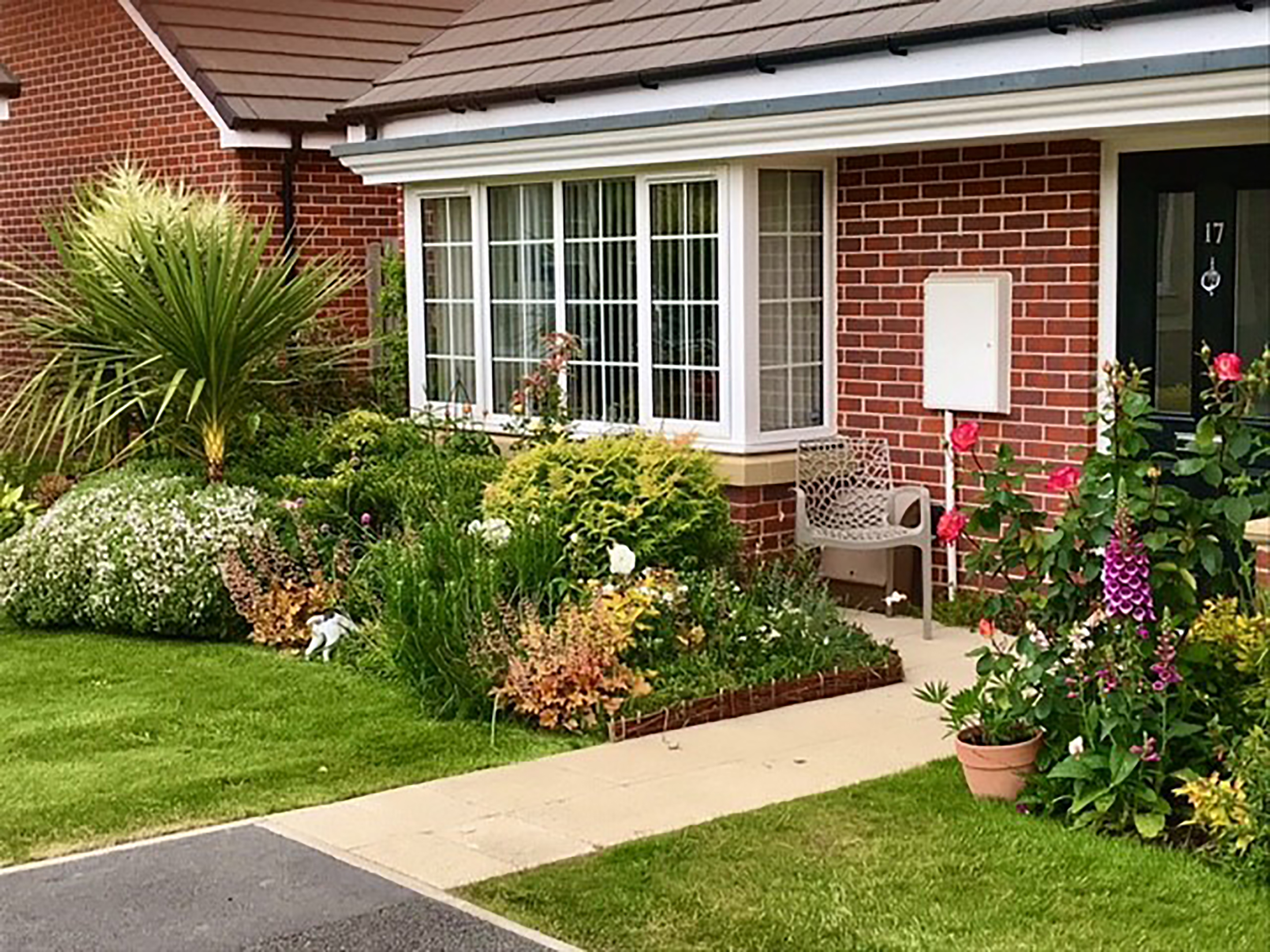 Flowers and plants in front garden