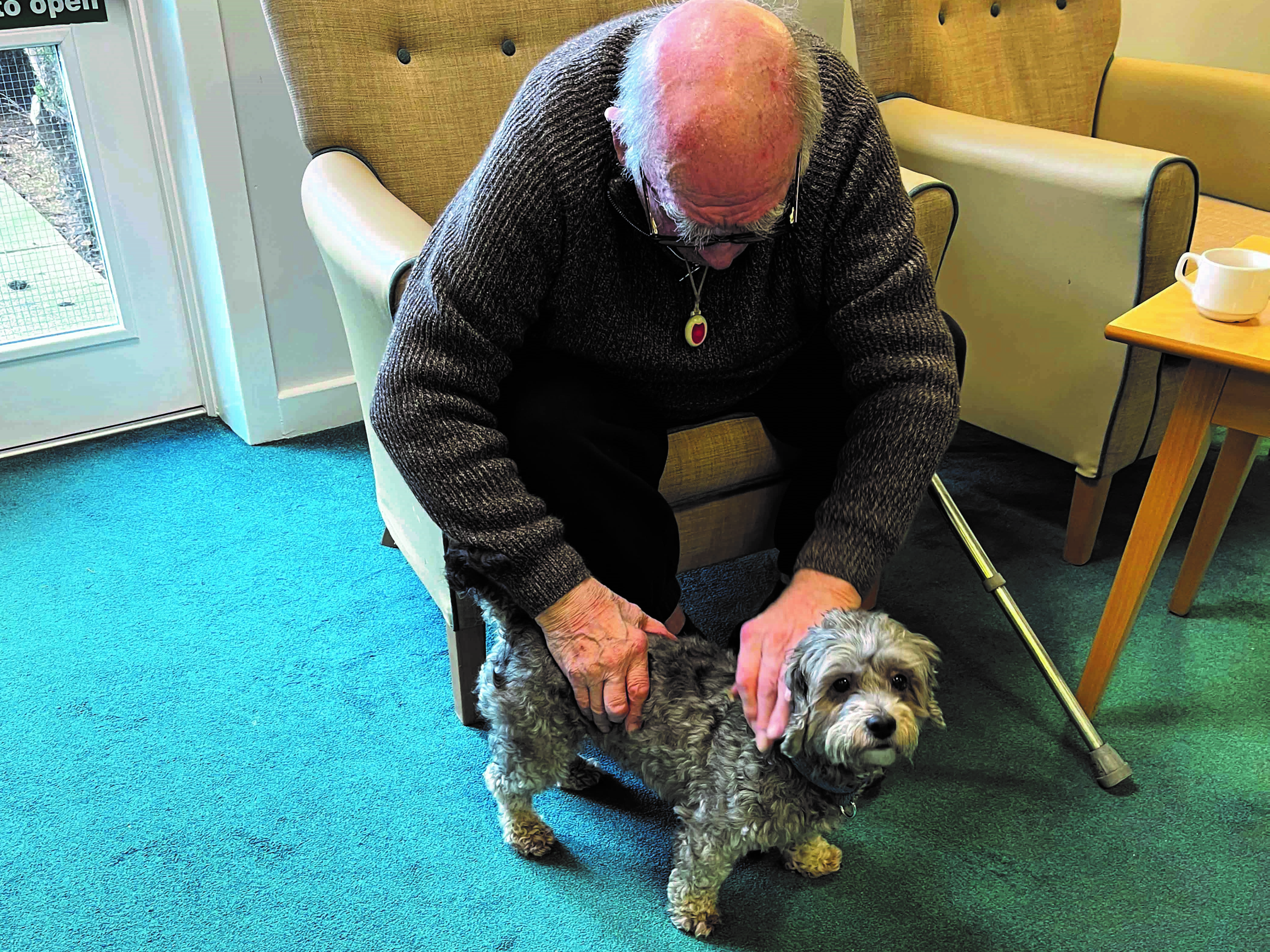 Man stroking a dog